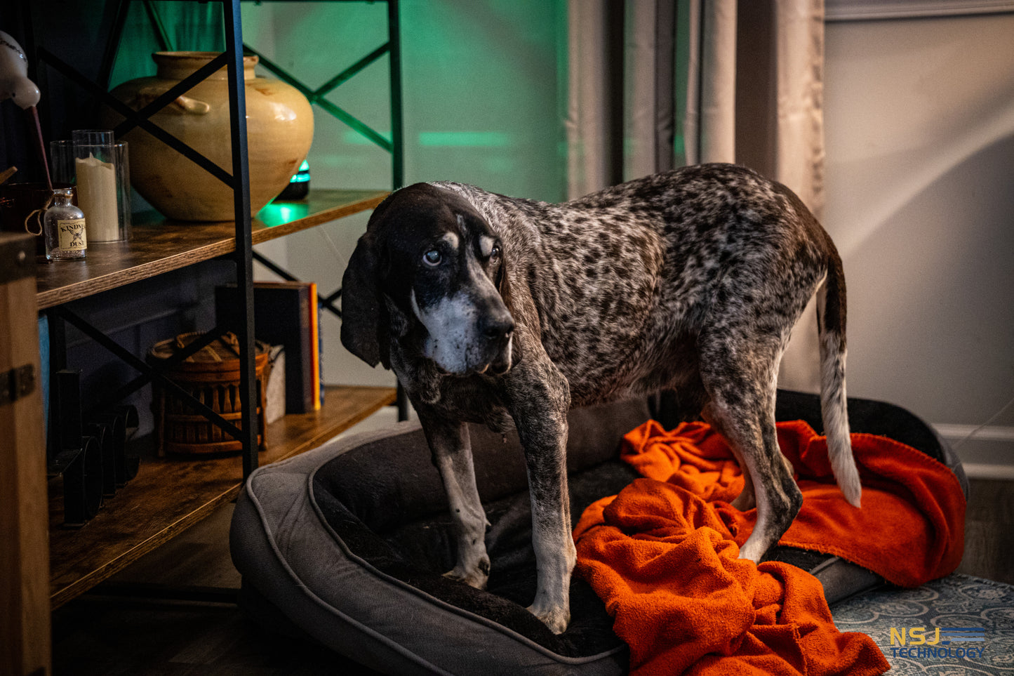 Portrait Photography (On Scene)