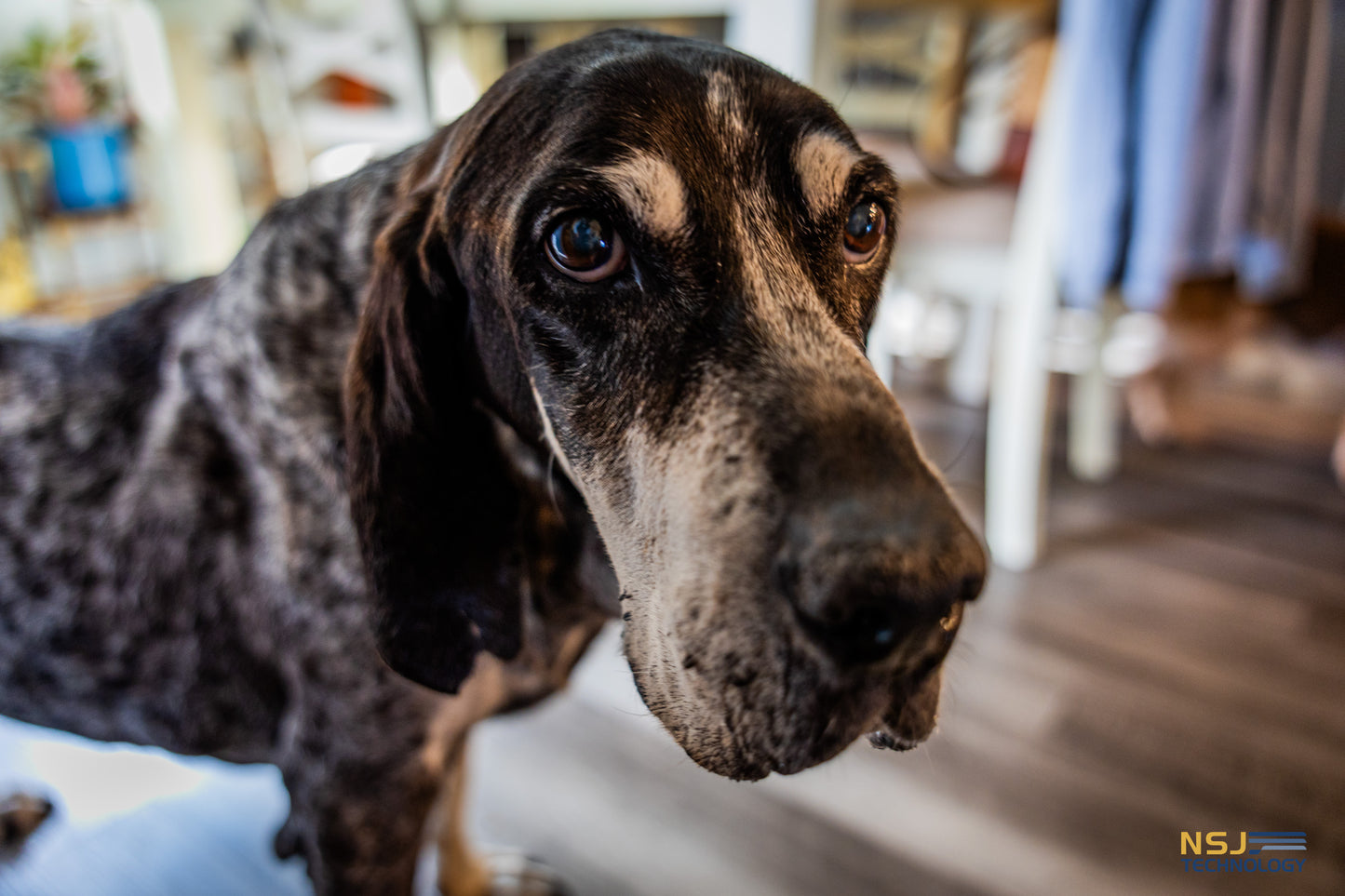 Portrait Photography (On Scene)